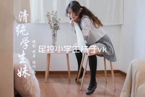 足控小学生袜子vk